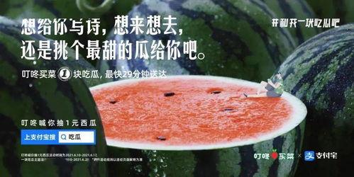 让人们吃瓜文案,揭秘那些让人津津乐道的吃瓜瞬间