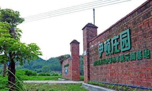伊顿庄园吃瓜,一场盛大的“吃瓜”盛宴