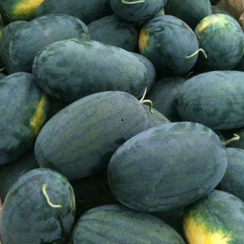 武汉dj乐乐吃瓜,吃瓜群众的美食探索之旅