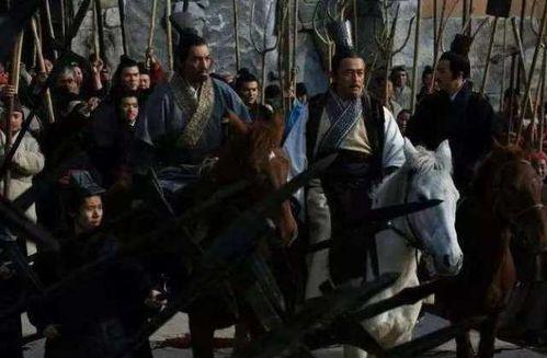 好奇害死猫理性吃瓜,远离“好奇害死猫”的陷阱