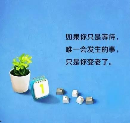 吃瓜迷茫语录,揭秘网络热议背后的真相与困惑