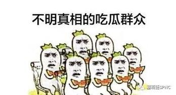 吃瓜群众入境了吗,揭秘其神秘身影