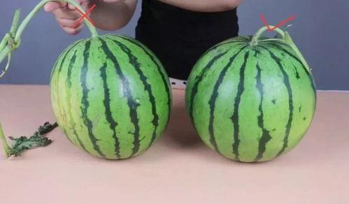 吃瓜不重要,聚焦核心，洞察真相