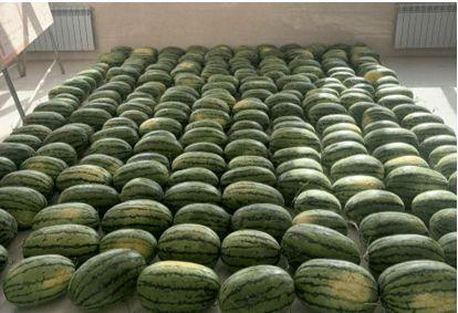 青岛校园吃瓜,揭秘校园里的那些事儿