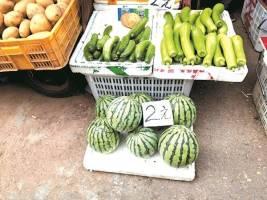 精品吃瓜价格,精品吃瓜界的价格之谜,一瓜难求背后的真相