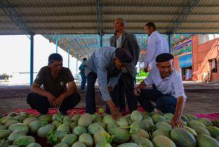 新疆吃的瓜群众,瓜群众舌尖上的甜蜜之旅