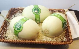 白玉龙瓜怎么吃,解锁美味新体验