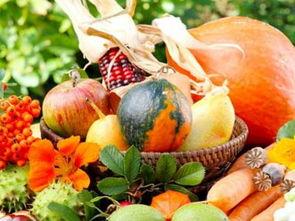 周公解梦梦见吃瓜种子,瓜籽入梦预示何意?