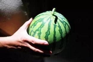 温岭吃瓜事件,一场引发社会热议的网络风波