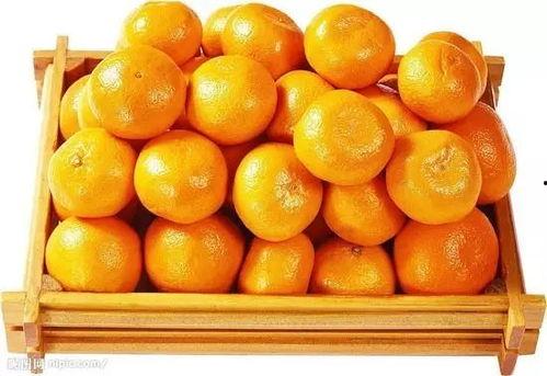 桔子吃蜜瓜微视,微视创意融合新体验