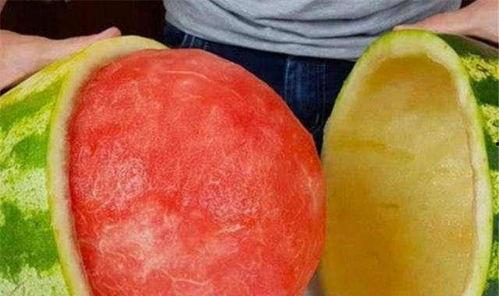 国旗吃瓜,探寻国旗元素与美食文化的奇妙融合