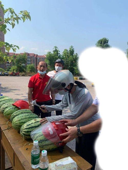 吃瓜事件大连,揭秘背后真相与网络舆论风暴