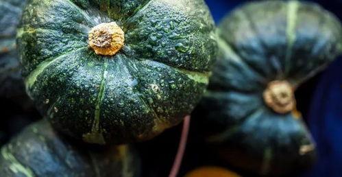 吃瓜还是吃西餐好吃,一场味蕾的较量,谁才是美食赢家?