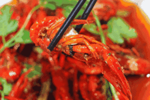 我在吃龙虾你们吃瓜