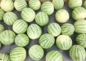 吃瓜前和吃瓜后,吃瓜前后的惊人变化