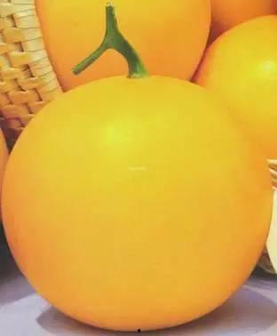 美洲蜜瓜怎么吃,探索美味新吃法